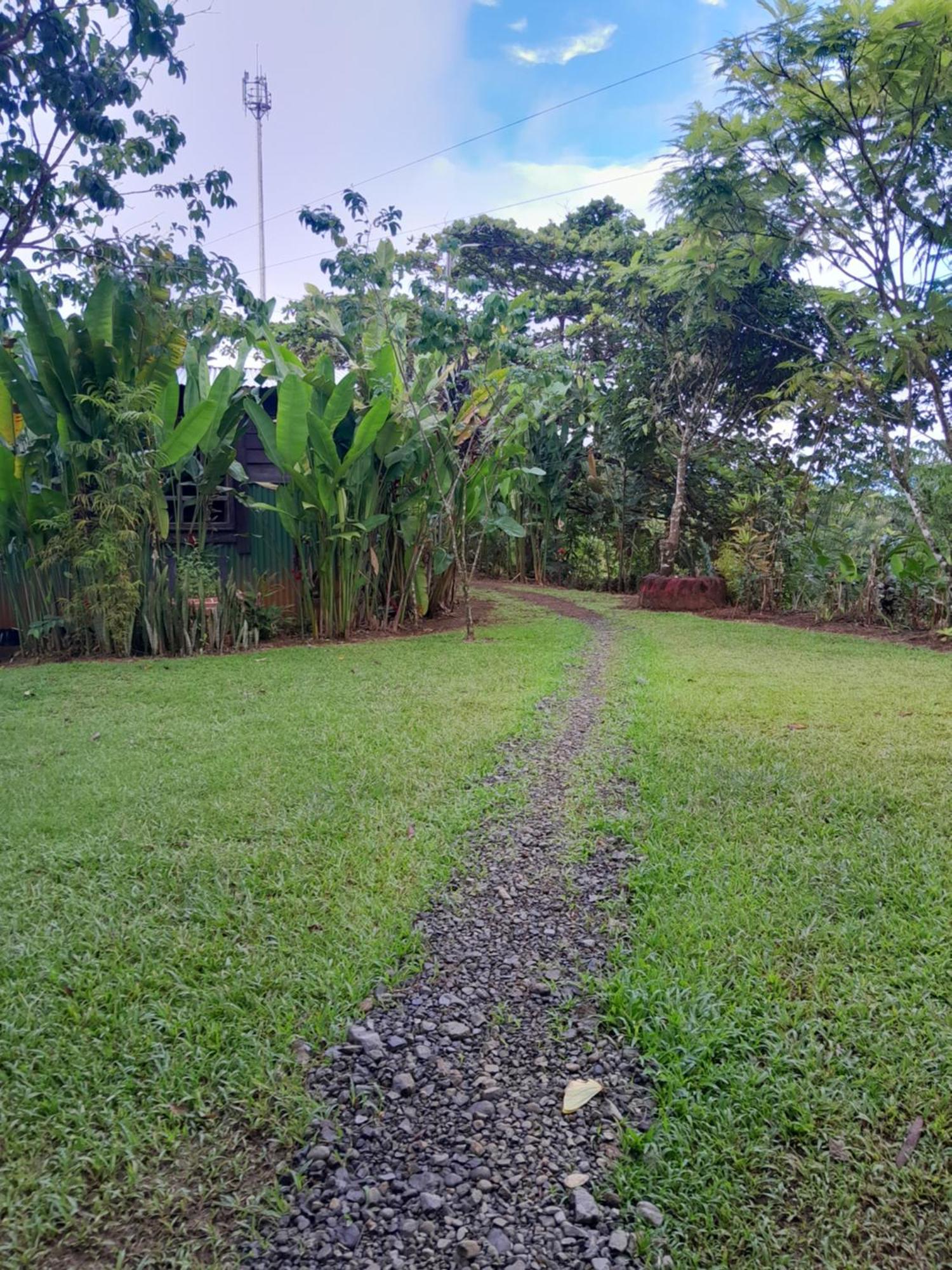 Finca La Puesta Del Sol - Miramar De Sierpe 객실 사진