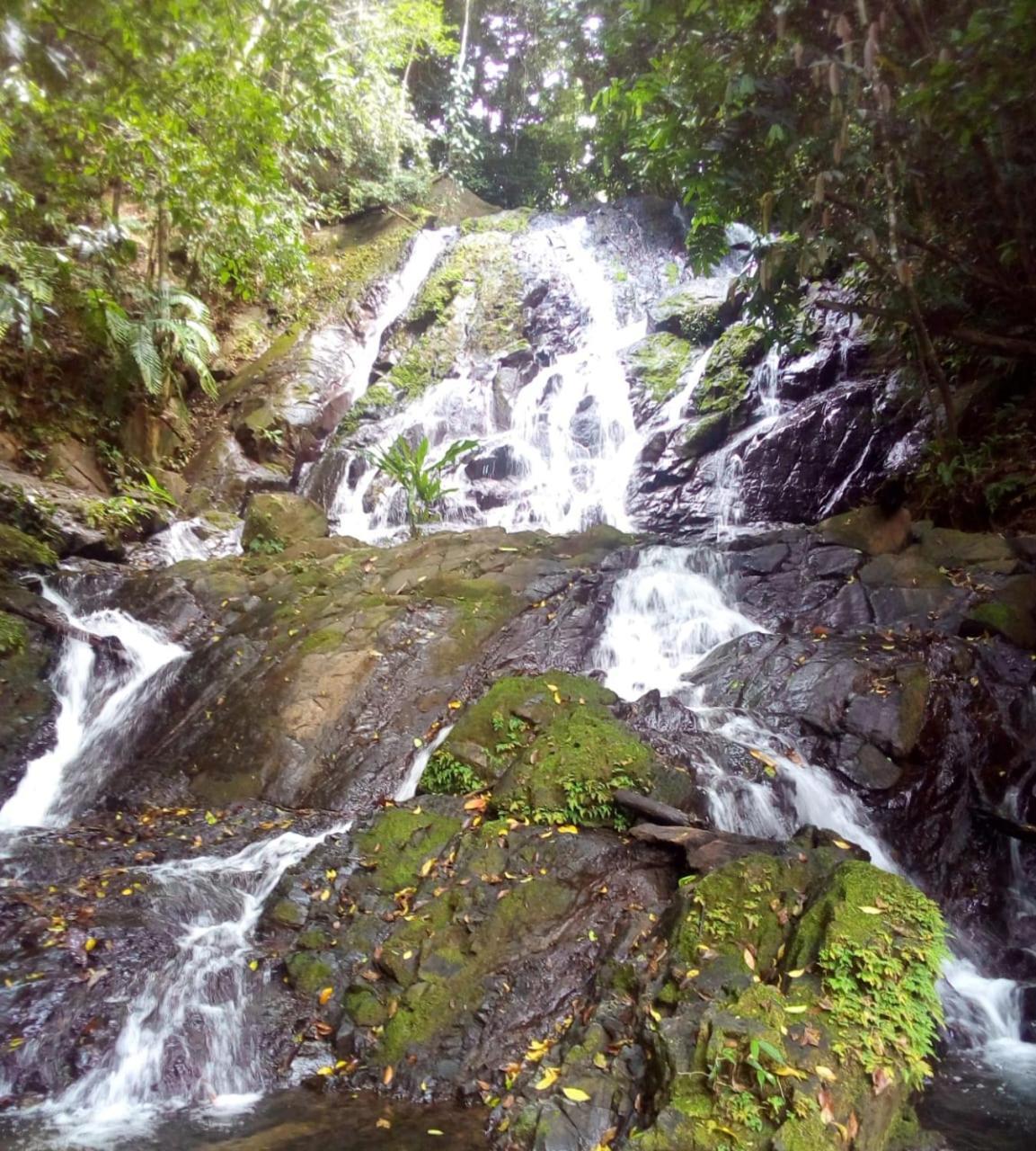 Finca La Puesta Del Sol - Miramar De Sierpe 외부 사진