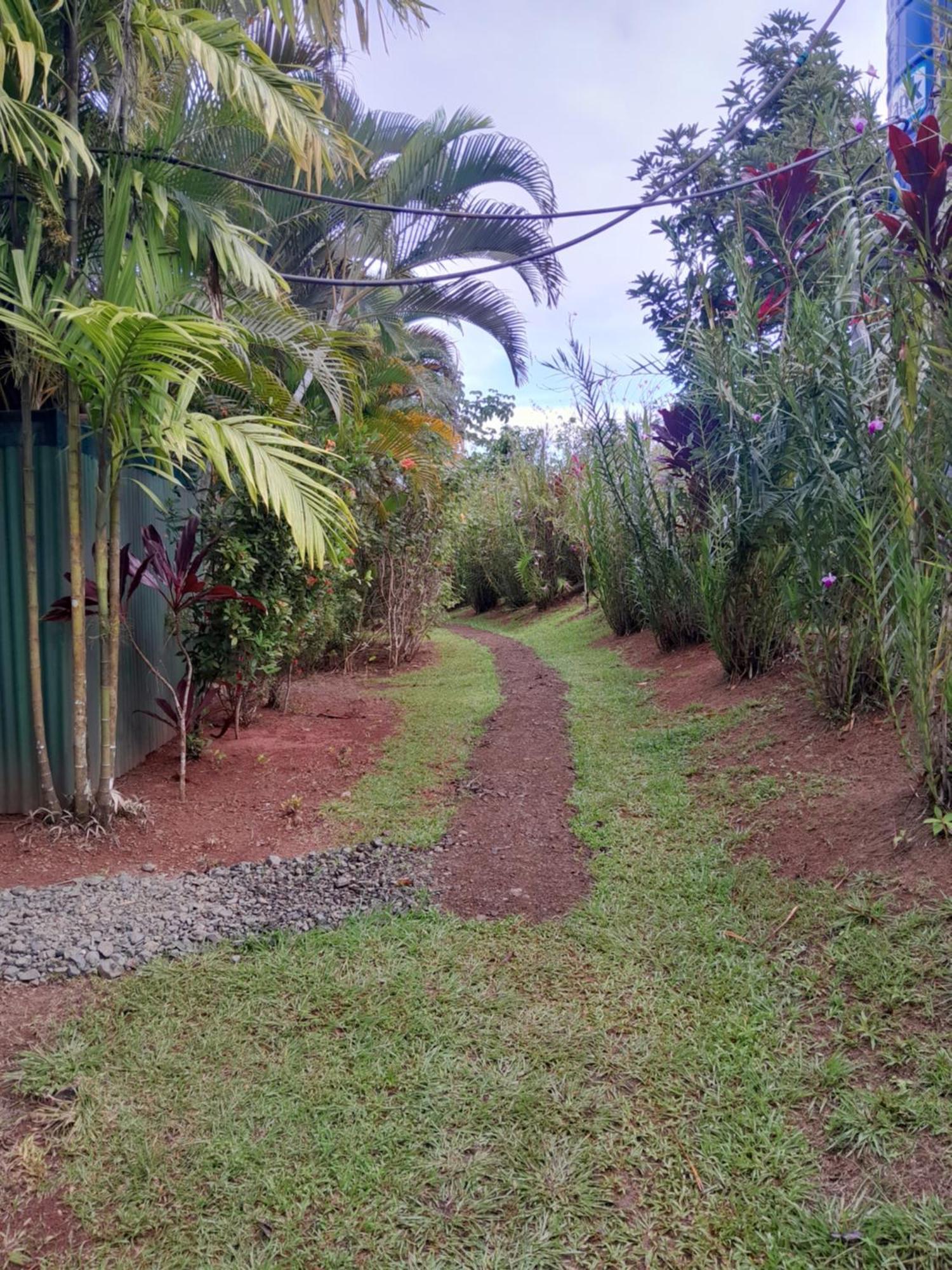 Finca La Puesta Del Sol - Miramar De Sierpe 객실 사진