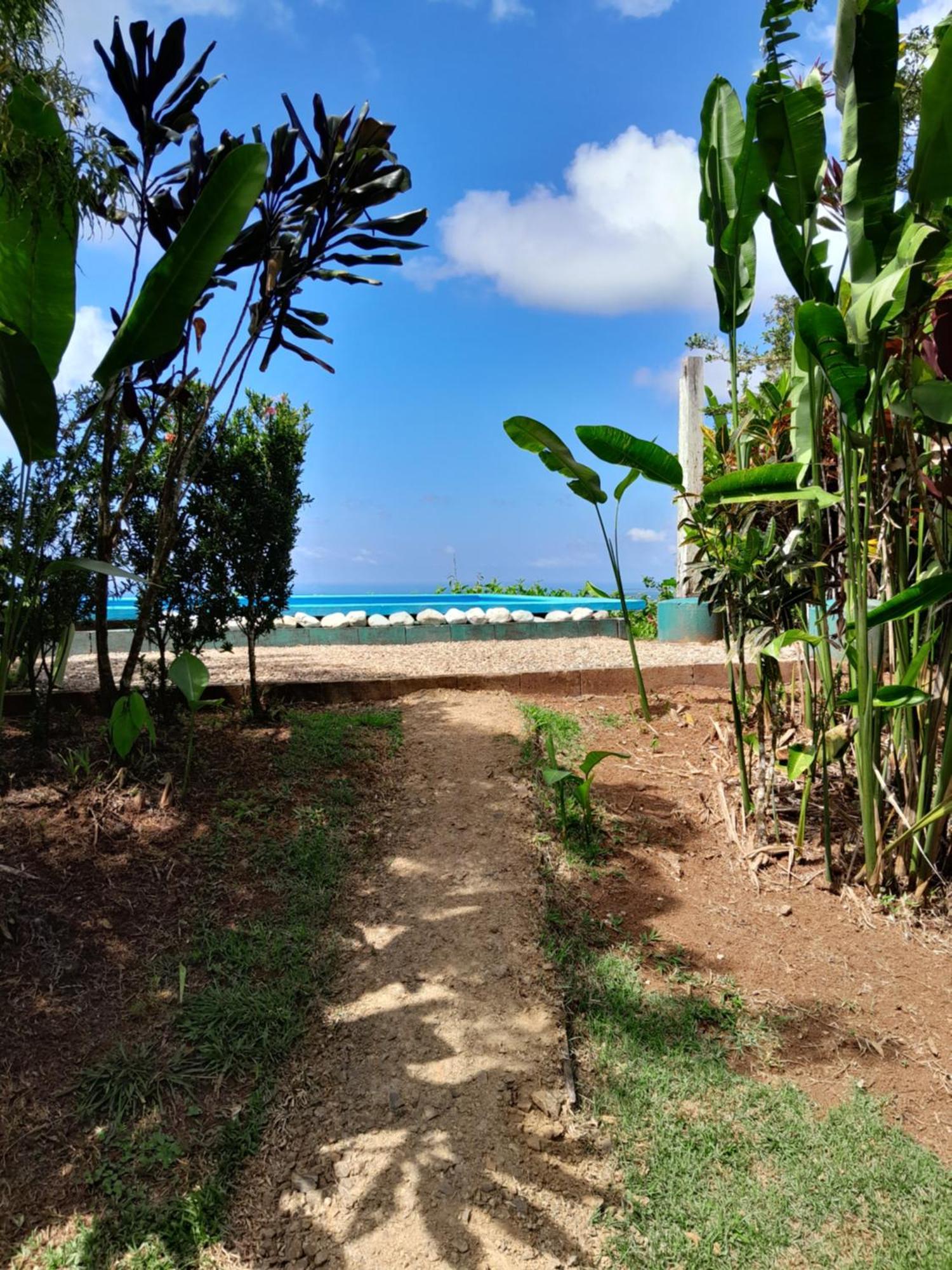 Finca La Puesta Del Sol - Miramar De Sierpe 객실 사진