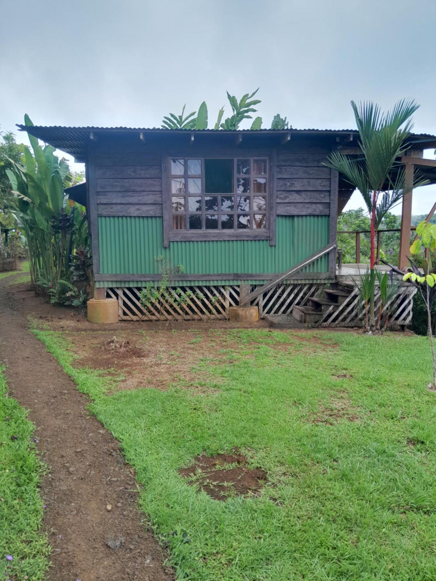 Finca La Puesta Del Sol - Miramar De Sierpe 객실 사진