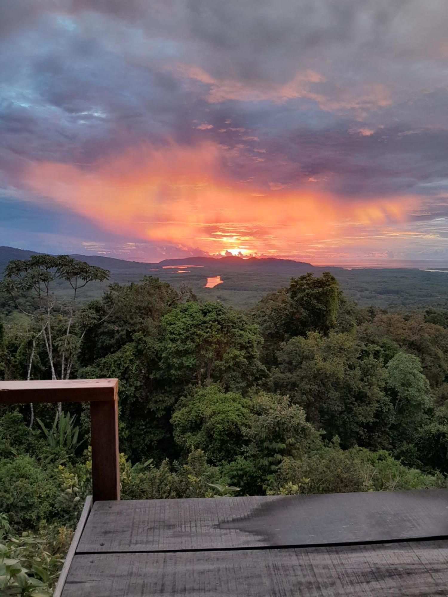 Finca La Puesta Del Sol - Miramar De Sierpe 객실 사진