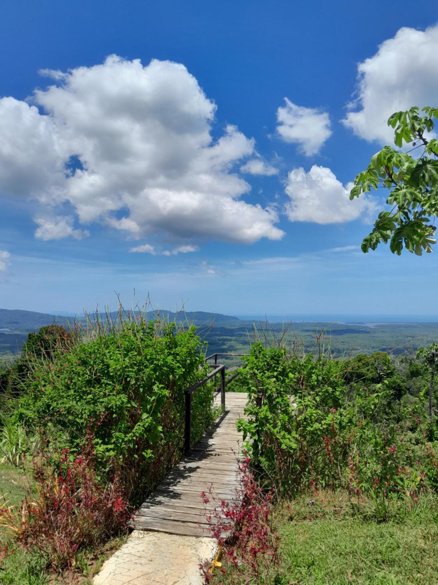 Finca La Puesta Del Sol - Miramar De Sierpe 객실 사진