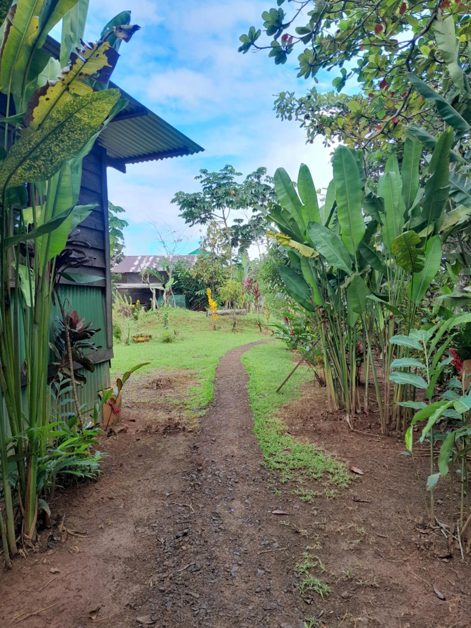 Finca La Puesta Del Sol - Miramar De Sierpe 객실 사진