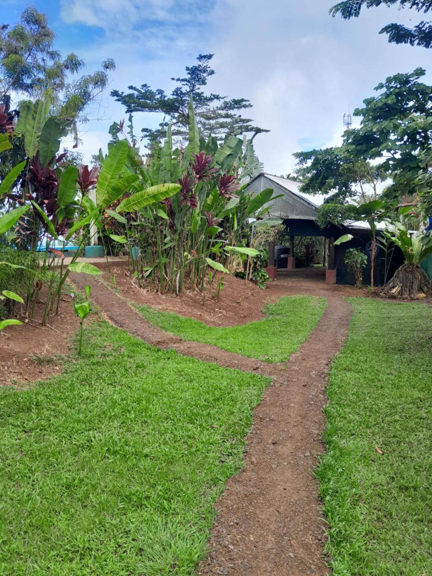 Finca La Puesta Del Sol - Miramar De Sierpe 객실 사진