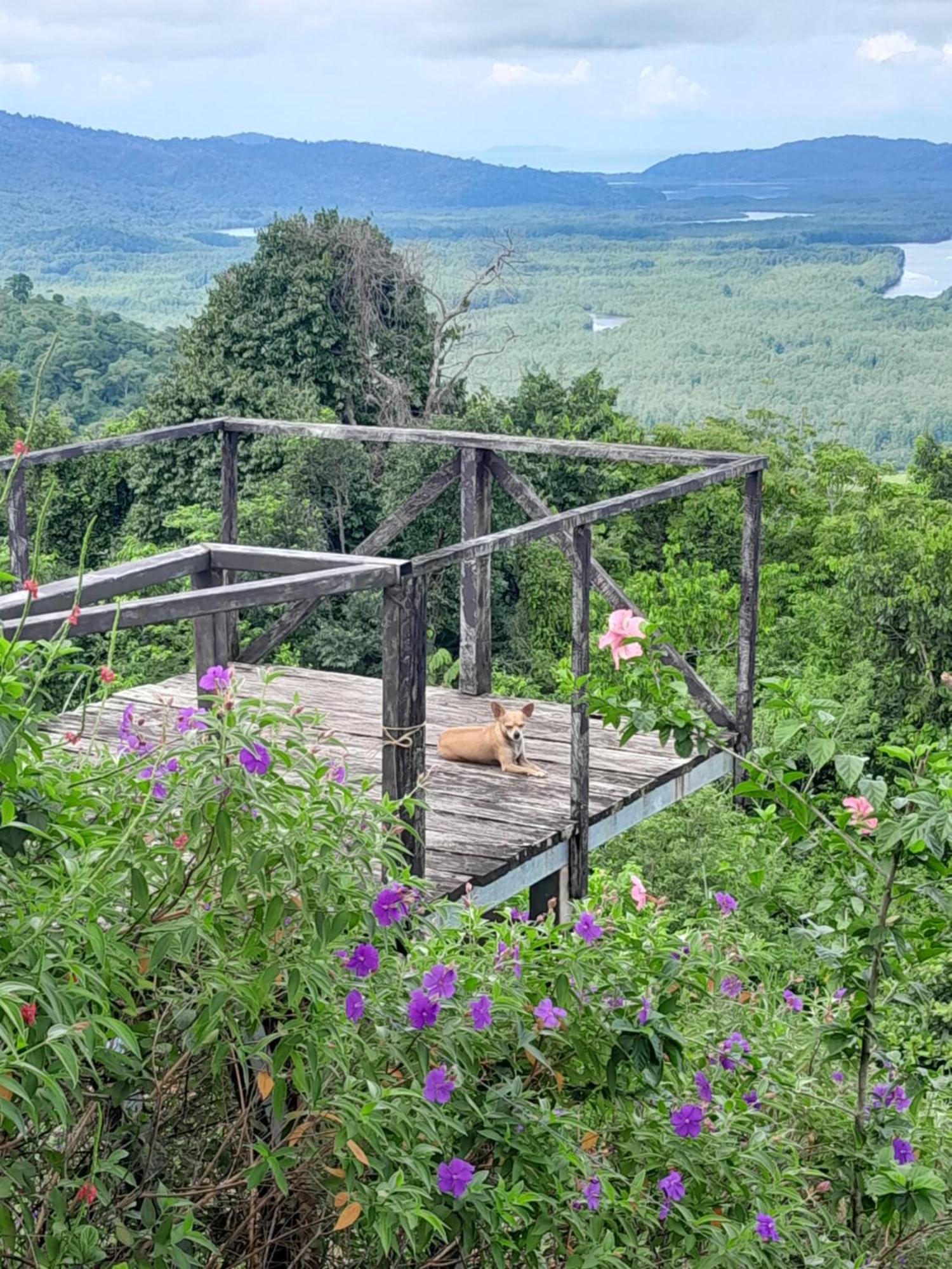 Finca La Puesta Del Sol - Miramar De Sierpe 객실 사진