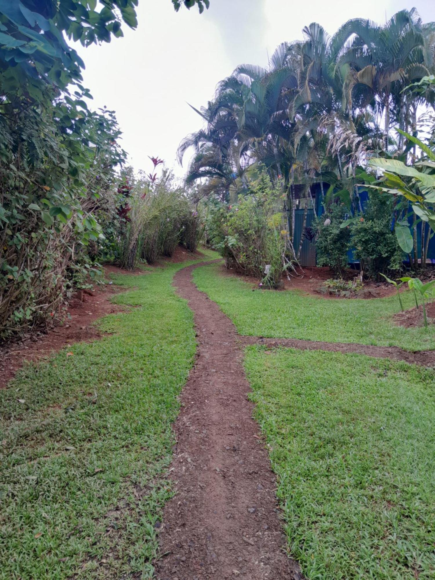 Finca La Puesta Del Sol - Miramar De Sierpe 객실 사진